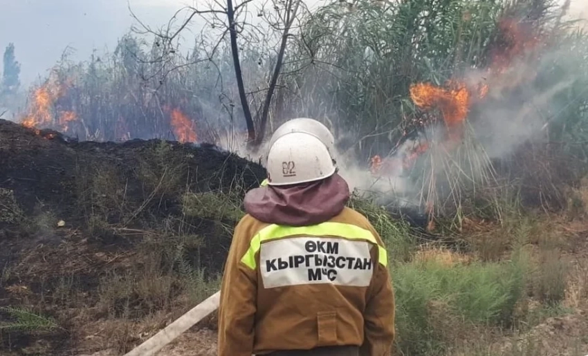 За прошедшие сутки на территории Кыргызстана произошло 30 пожаров