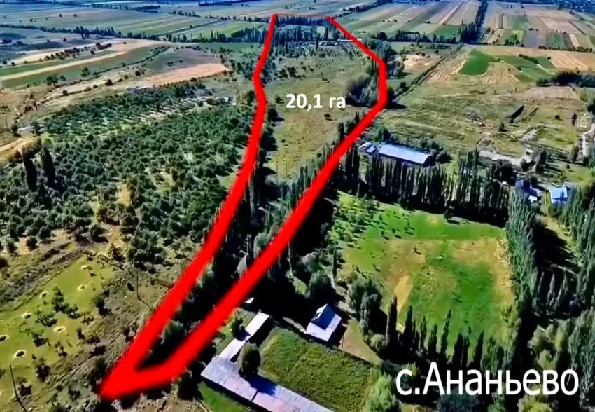 Земельные участки бывшего Балыкчинского плодсовхозкомбината возвращены государству