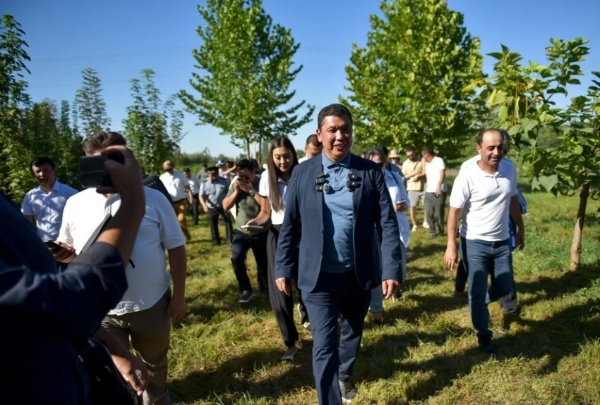 Экскурсия по питомнику "Бишкекзеленстроя" показала, что делают для города
