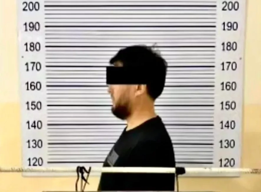 Задержан адвокат представителей ОПГ за организацию незаконной миграции в Кыргызстан