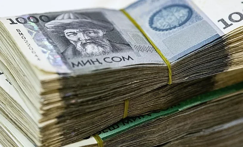 Малый и средний бизнес Кыргызстана получил первые льготные займы почти на 77 млн сомов