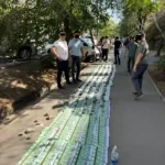 Начальника Чаткальского лесхоза задержали при получении взятки в 5 млн сомов от золотодобывающей компании