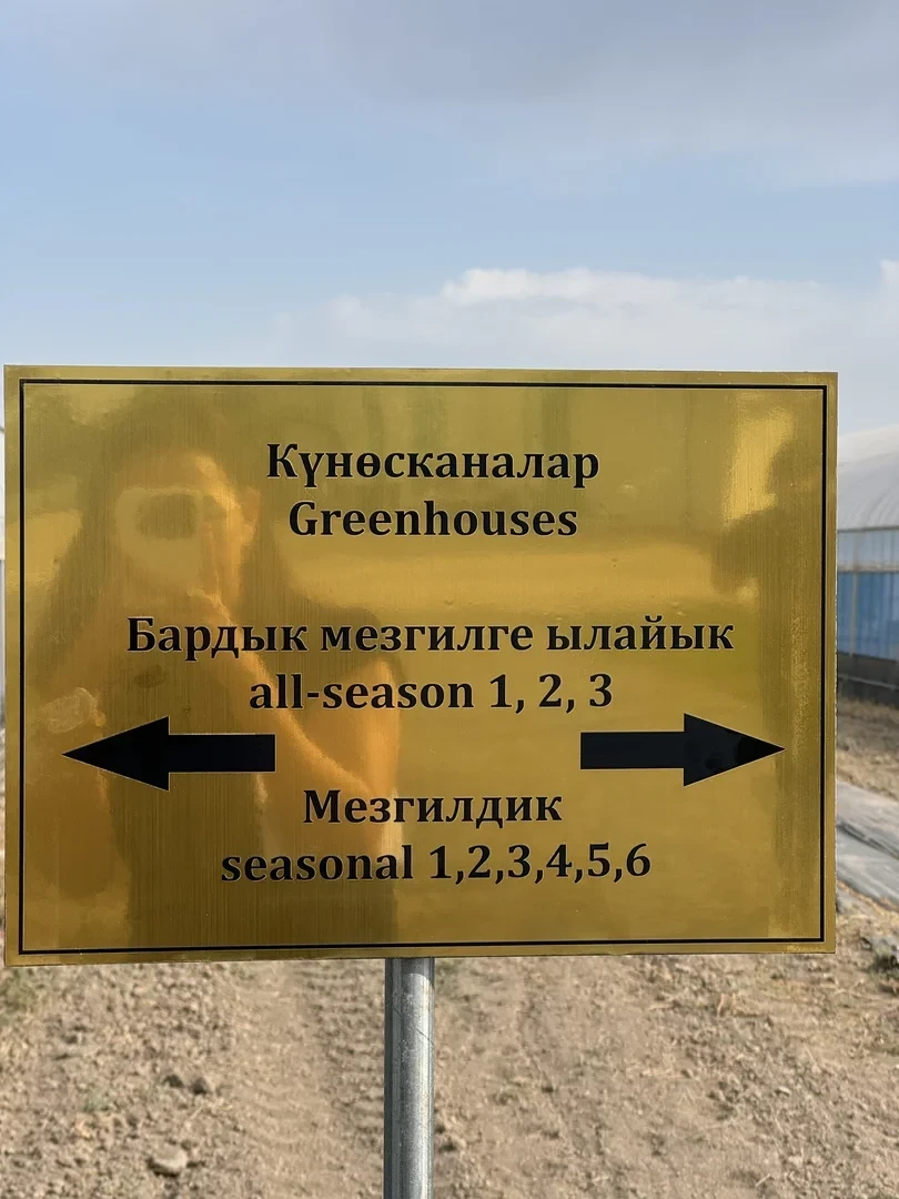 В Кыргызстане открылся центр по производству семян овощных культур