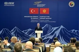 В Кыргызстане работают около 3 тыс. компаний с турецким капиталом