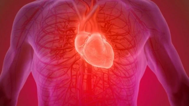 В Кыргызстане запустили мобильный check-up модуль для профилактики сердечно-сосудистых заболеваний