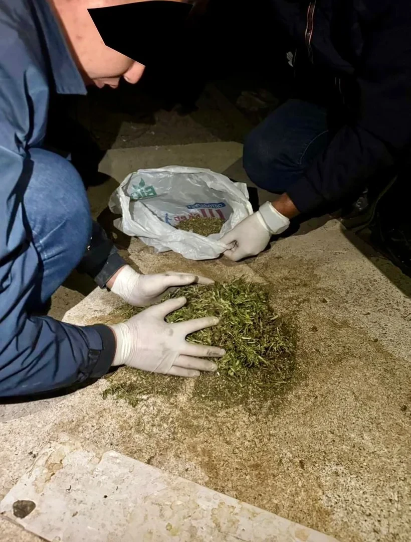 На Иссык-Куле задержан гражданин при попытке сбыта каннабиса