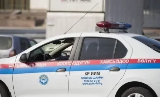 Ещё одна роженица родила в машине патрульной милиции