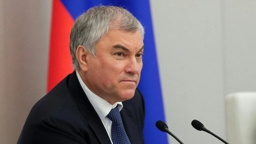 Володин: российские школы в разы сократили прием детей мигрантов