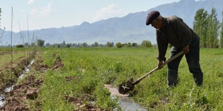В 2025 году в Кадамжайском районе дефицита поливной воды не наблюдалось