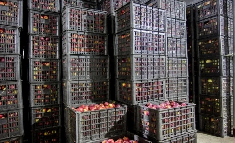 В Ала-Буке строят новый склад на 500 тонн для хранения сельхозпродукции