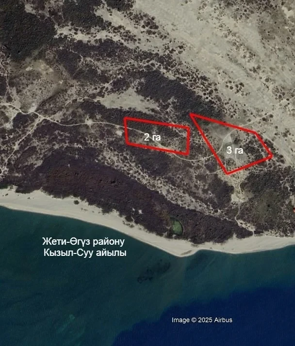 Прокуратура вернула государству 10 га сельхозземель на Иссык-Куле