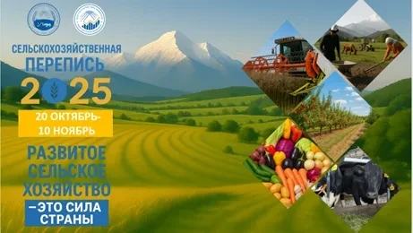 В Кыргызстане стартует масштабная сельскохозяйственная перепись 2025 года