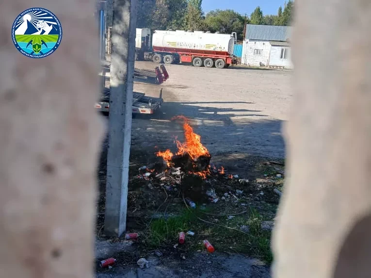 Минприроды Кыргызстана напомнило о недопустимости сжигания листьев и бытовых отходов