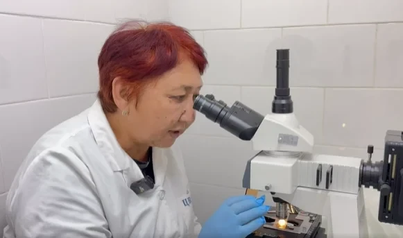 В КР 12 ветлабораторий успешно прошли аккредитацию на соответствие международным стандартам