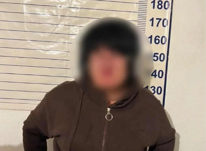 В Военно-Антоновке женщина продала чужие земельные участки за $40 тысяч