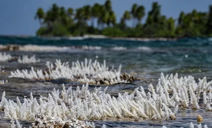 Зафиксировано начало масштабной климатической катастрофы