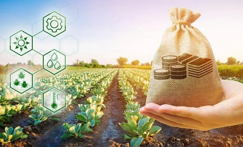 По проекту «ФСХ-13» выдано льготных кредитов на 4 млрд сомов