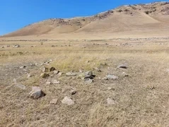 Археологи Большого Алтая впервые проведут раскопки в Кыргызстане