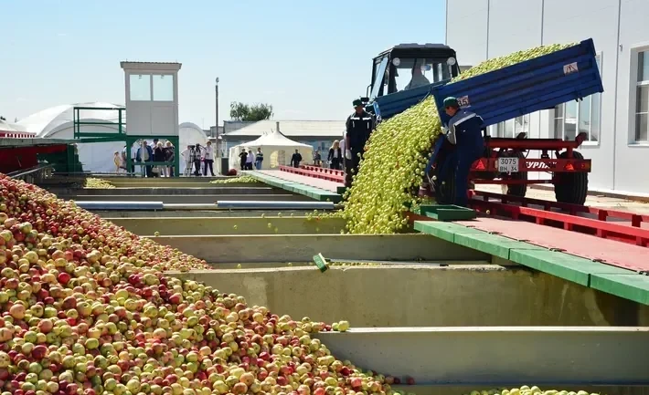 Артем Новиков опроверг слухи, что РКФР выдает кредиты только «своим»
