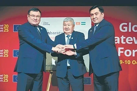 Россия и Евросоюз пересеклись в Центральной Азии на энергетическом поле