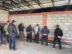 Задержана преступная группа, организовавшая контрабанду скота в Таджикистан