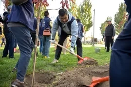 В жилмассиве Ак-Орго высадили деревья в честь 60-летия Программы развития ООН