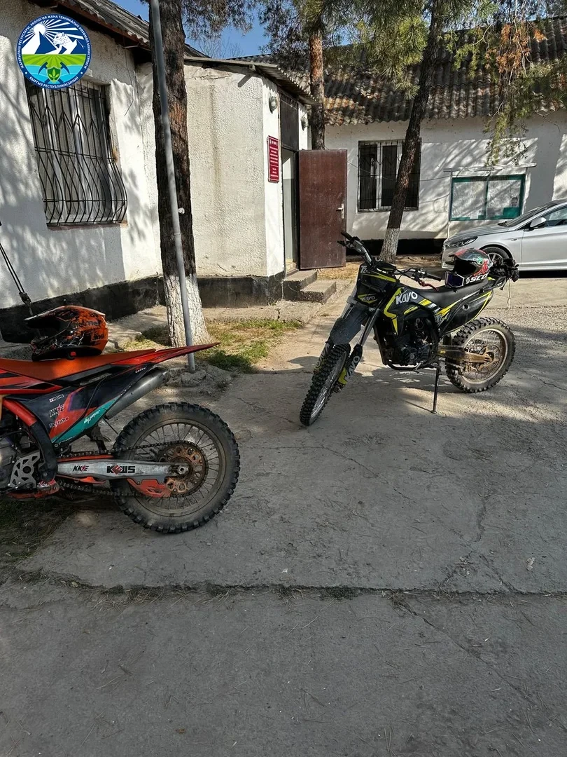 Оштрафованы 2 мотоциклиста за езду на пастбищах