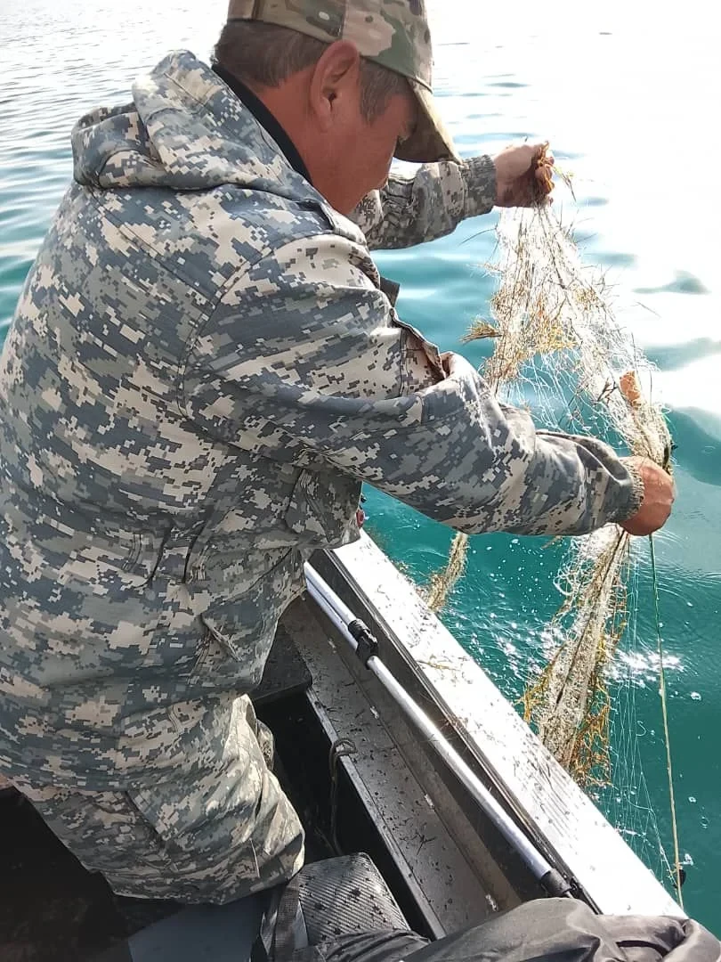 Минприроды продолжает работы против браконьерства