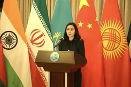 Актилек Мусаева провела брифинг о приоритетах председательства Кыргызстана в ШОС на 2025-2026 гг.