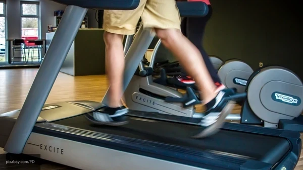 Найден предел человеческих возможностей: его нельзя преодолеть