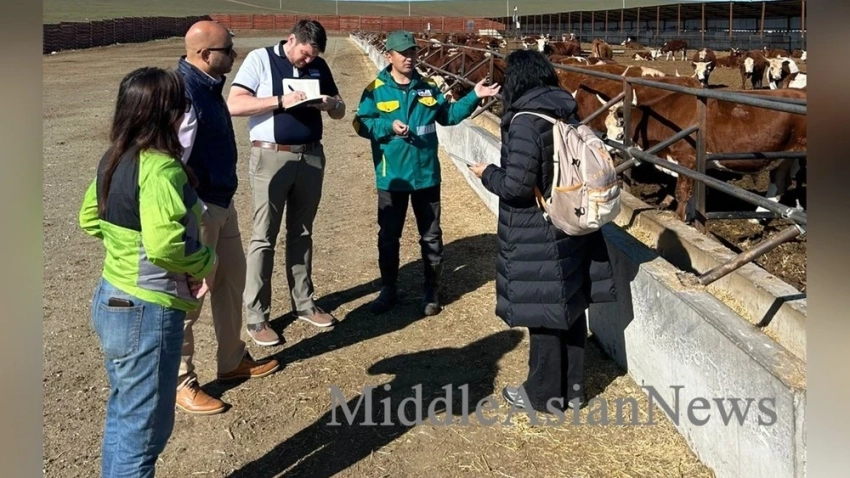 Совет США по зерну и биопродуктам проводит исследовательскую миссию в Монголии