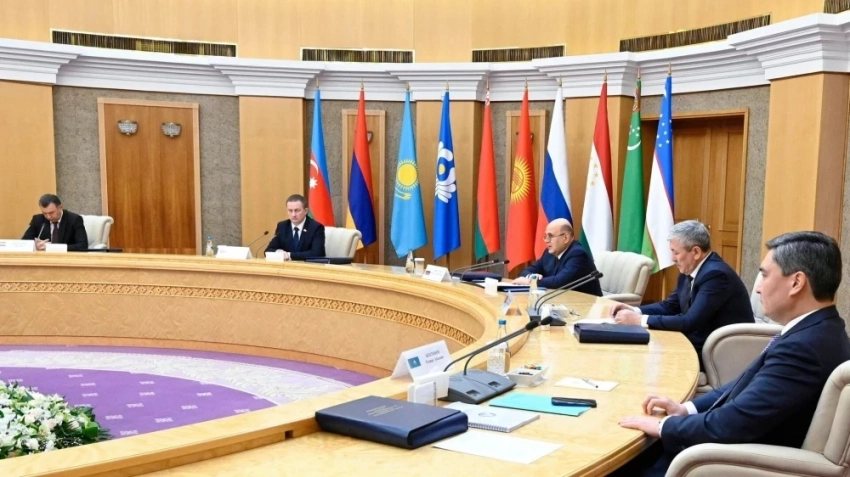 Страны СНГ утвердили комплекс мер по борьбе с бешенством и ящуром