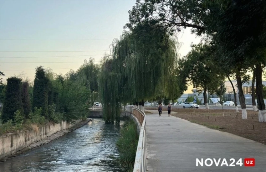 В Узбекистане введут наказание за бетонирование зеленых участков