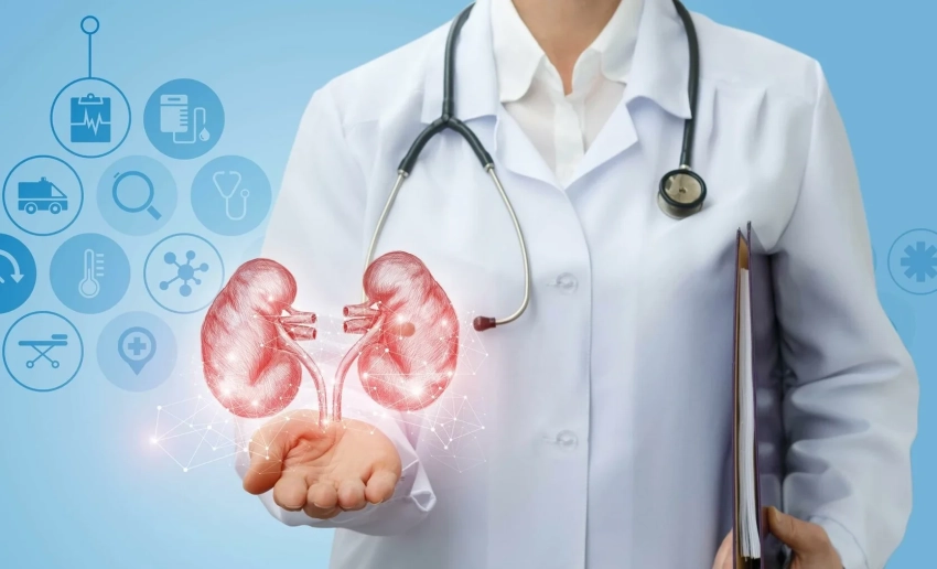 День уролога: врачи напоминают о важности профосмотров