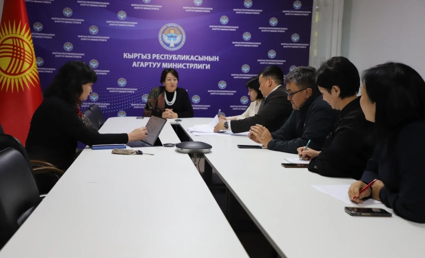 В Кыргызстане объявят конкурс на разработку новых школьных учебников