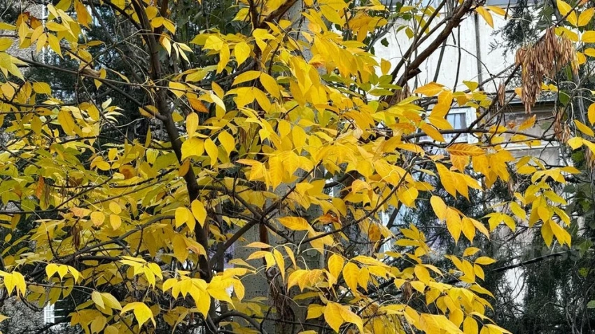 Погода без осадков сохранится в Казахстане в ближайшие дни