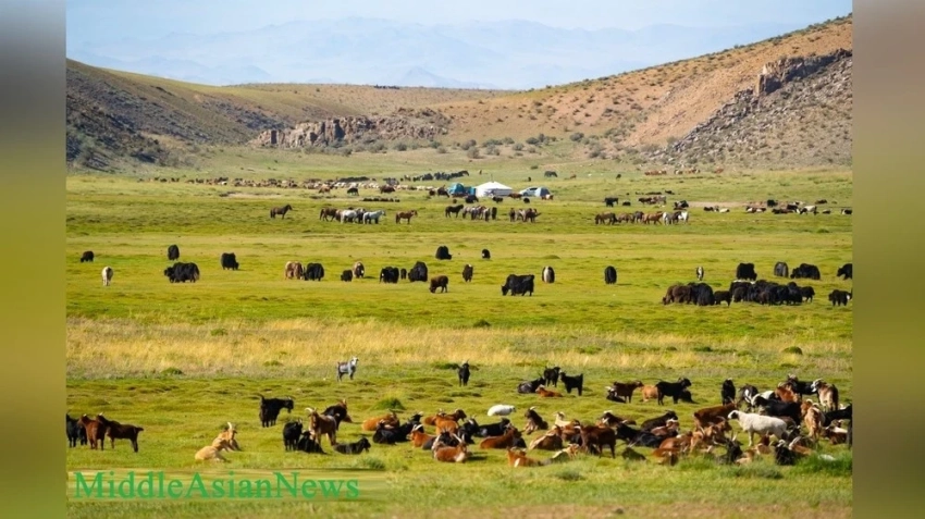 В Монголии зафиксирован самый теплый сентябрь за 85 лет