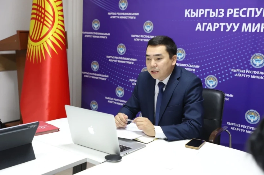 В образовательных учреждениях проводится исследование по профилактике насилия