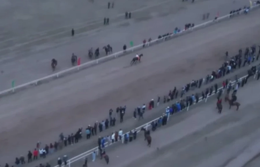 Кыргызский скакун Каракыз стал победителем на скачках в Казахстане