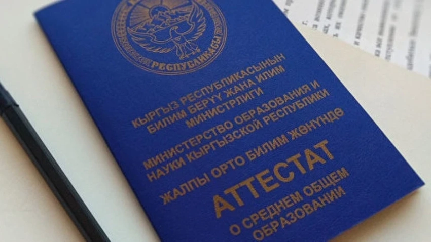 Акыйкатчы помогла студентке-сироте перевестись в колледж Каракола