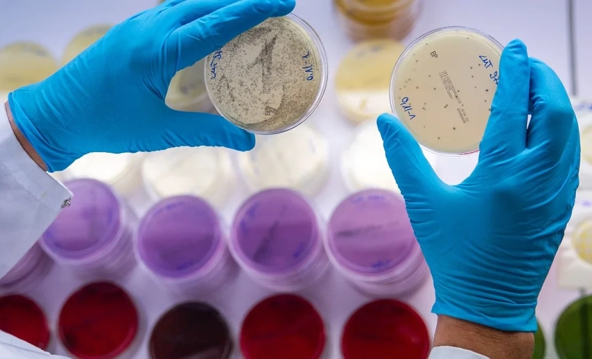 ВОЗ предупредила о резком росте устойчивых к антибиотикам инфекций