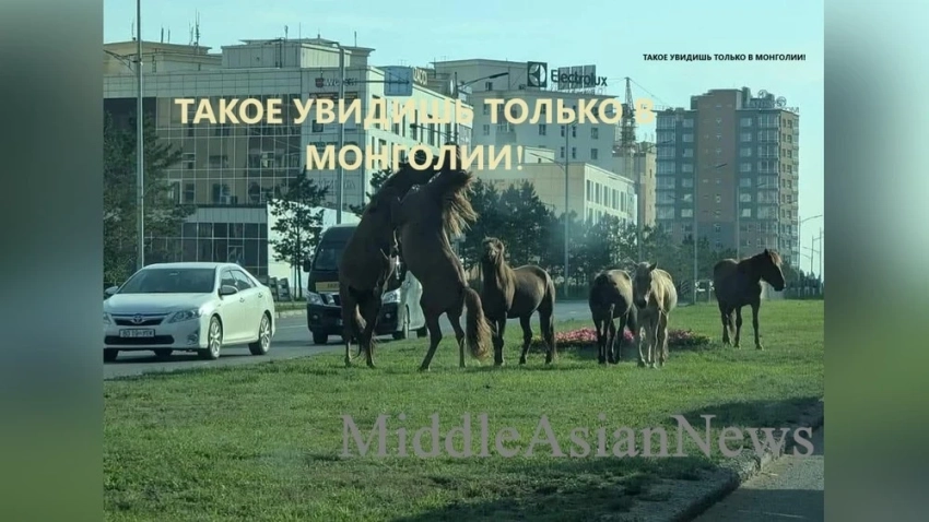 Один из мемов «Такое увидишь только в Монголии!» исчезнет