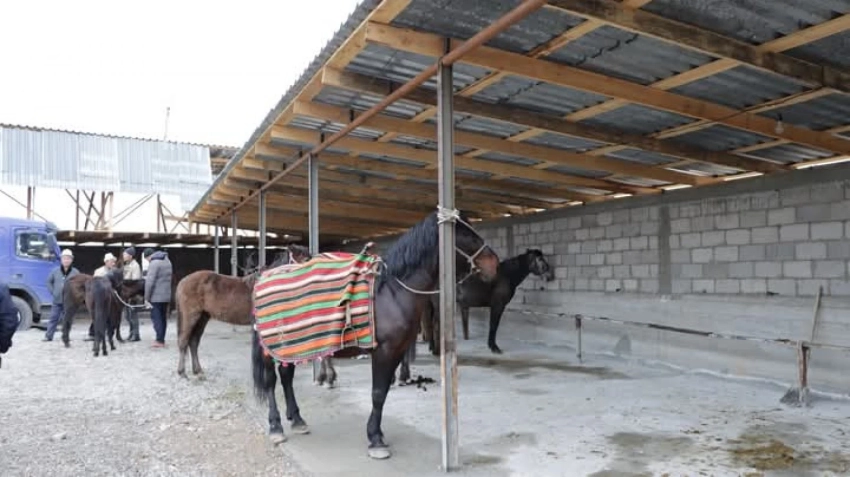 Ветслужба Кыргызстана: Запрещается ввоз животных на скотный рынок без ветеринарной справки