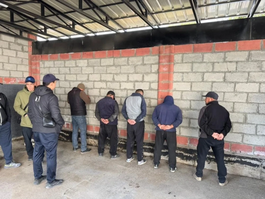 ГКНБ задержал подозреваемых в контрабанде скота и мяса в Таджикистан