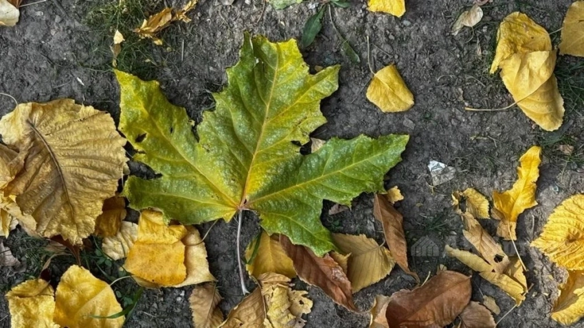 В Узбекистане началось понижение температуры