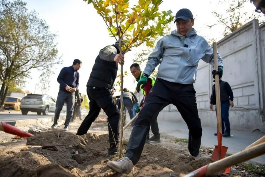 Айбек Джунушалиев: Мы ценим помощь, которая делает Бишкек более зеленым, чистым и комфортным