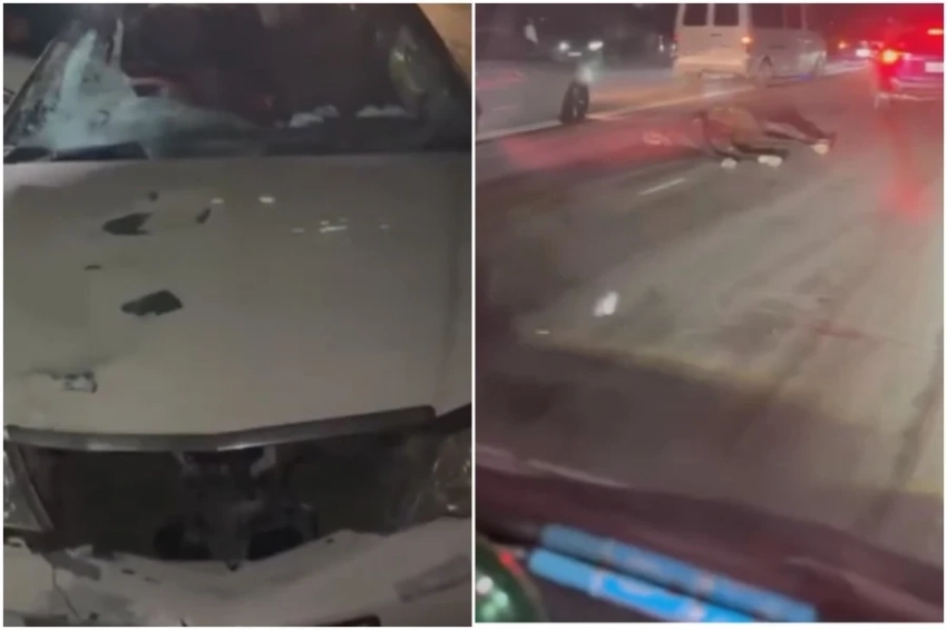 Под Кемином легковой автомобиль сбил лошадь