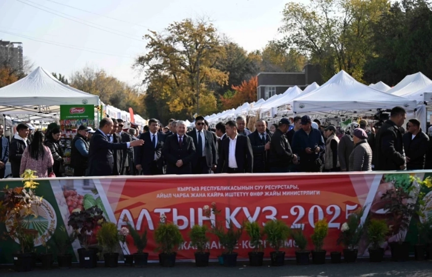 В мире вырос интерес к экологически чистой продукции из Кыргызстана