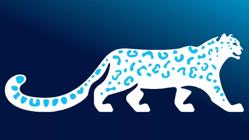 Кабмин Кыргызстана утвердил логотип и порядок использования национального символа страны — снежного барса