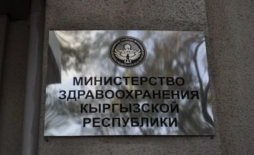 В Бишкеке и Оше проходит международная волонтерская программа «Миссия Добро»